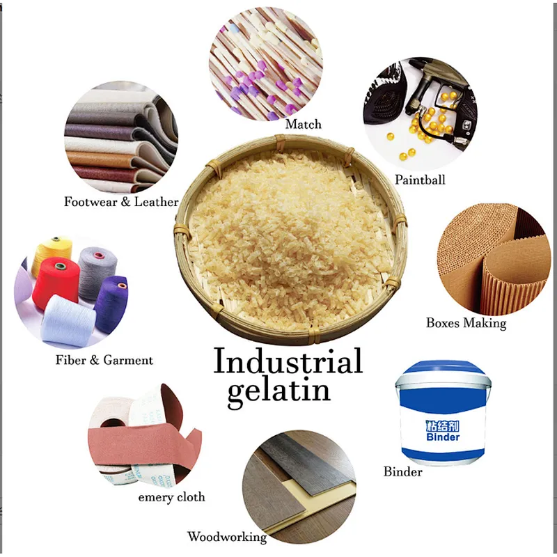High quality all types gelatin from gelatin manufacturer