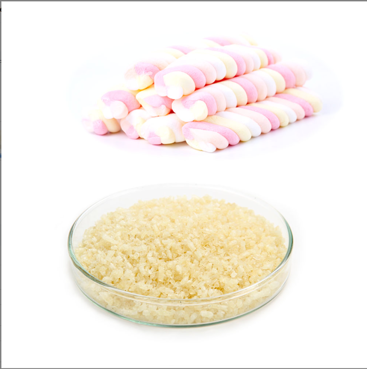 High quality all types gelatin from gelatin manufacturer