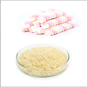 High quality all types gelatin from gelatin manufacturer
